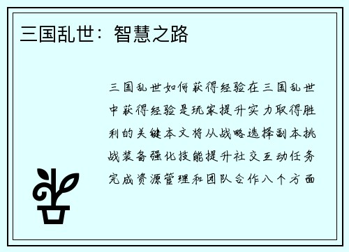 三国乱世：智慧之路